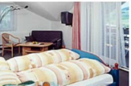 Hotel Freudenberg アッペンツェル エクステリア 写真